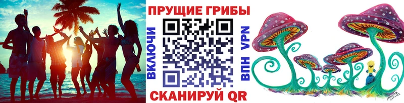 Галлюциногенные грибы GOLDEN TEACHER  наркошоп  Вытегра 